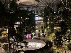 -樟宜机场免税店