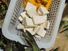 -马帮菜馆·美味野生菌