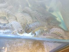 -皮蛋弟砂锅店(总店)