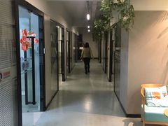 -引领英语·成人口语·雅思托福