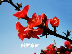 -上海辰山植物园