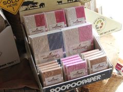 -大象粑粑造纸公园