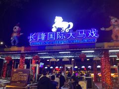 -广州长隆国际大马戏