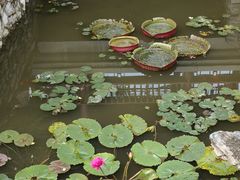 -莲池书院博物馆