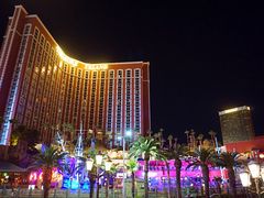 -拉斯维加斯永利酒店