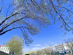 -成寿寺(地铁站)