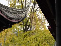 -成都市文殊院