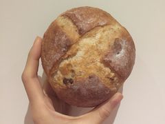 -多乐之日(颐堤港店)