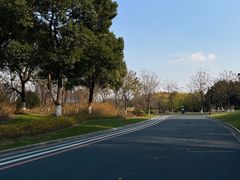 -贡湖湾湿地公园