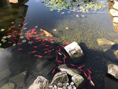 -昆明洲际酒店