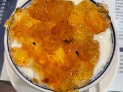 桃胶双皮奶-仁信老铺(华盖路店)