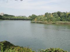 -塘沽森林公园