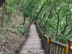 -帽儿山国家森林公园