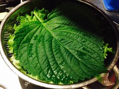 -金韩雅·烤肉·烤活鳗鱼(万达店)