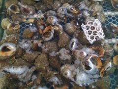 -孙家码头海鲜自助美食城