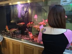 -雕哥的纹身店A3 TATTOO&纹身培训