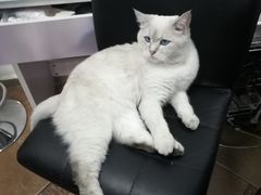 -青春加萌照相馆