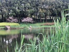 -美兰湖景区