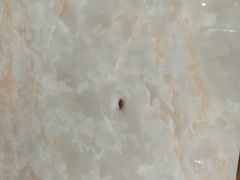 -老福州闽菜馆(温泉路店)