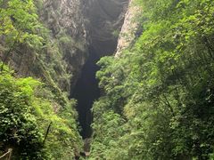-龙水峡地缝景区
