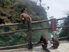 -峨眉山风景名胜区
