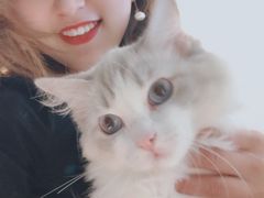 -飞行喵MR PILOT|猫舍·猫咖(静安大融城店)