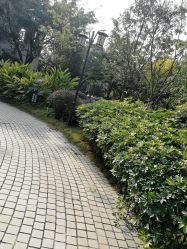 点击看大图 -莲生母婴月子中心(清水河公园店)