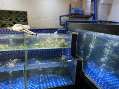 水产区-农汤老店(顺联公园里店)