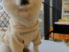 -怪兽屋·羊驼·猫咖·狗咖(俊华广场店)