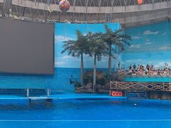 -海合安成都极地海洋公园
