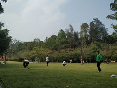 -南沙蒲洲花园
