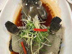 -寻味顺德·南记酒家·传统顺德菜·鱼生(广源路店)
