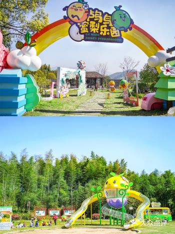 杭州网红景点打卡-鸬鸟蜜梨乐园