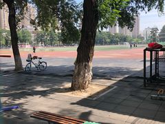 -辽宁大学(崇山校区)