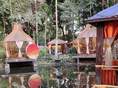 -二荆条·蜀鲜汇城市森林火锅