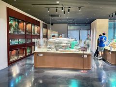 -帕帕拉兹宠物(亚洲旗舰店)