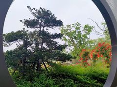 -东平国家森林公园