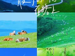 -百里天路