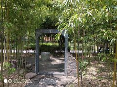 -杏花村文化旅游区