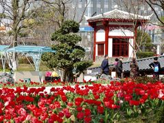 -成都市文化公园