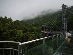 -呀诺达热带雨林
