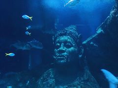 -暹罗海洋世界