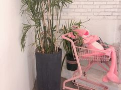 -有猫主题·治愈系猫咖(曾厝垵店)