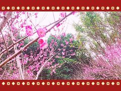 -重庆彩云湖湿地公园