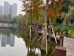 -重庆彩云湖湿地公园