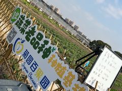 -菊园百果园