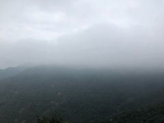 -银瓶嘴森林公园