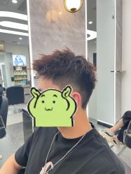 -YESIDO椰岛造型