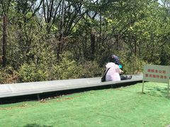 -富斯特索道