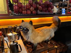 -杂咖zacup(领展中心城店)